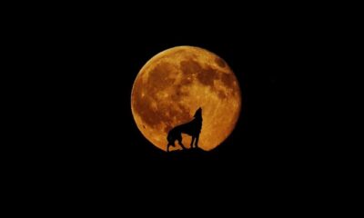Απόψε το «Φεγγάρι του λύκου» – Η πρώτη πανσέληνος του 2023 6