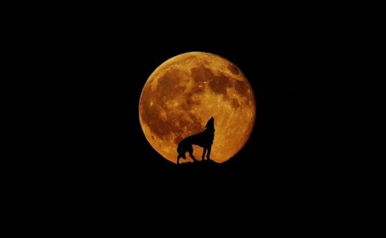 Απόψε το «Φεγγάρι του λύκου» – Η πρώτη πανσέληνος του 2023