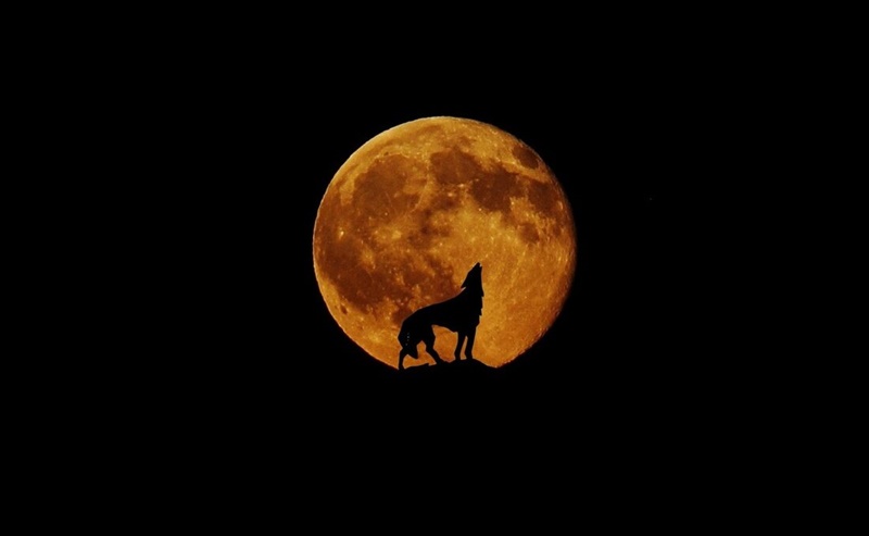 Απόψε το «Φεγγάρι του λύκου» – Η πρώτη πανσέληνος του 2023 5