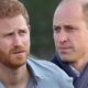 Πρίγκιπας Harry: «Ο William με χτύπησε και με έριξε κάτω» ‑ Ο καβγάς για τα μάτια της Meghan 3