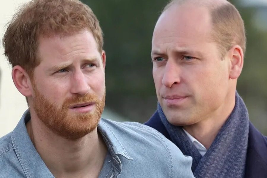 Πρίγκιπας Harry: «Ο William με χτύπησε και με έριξε κάτω» ‑ Ο καβγάς για τα μάτια της Meghan 3