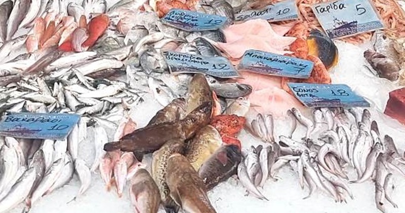 Φρέσκο ψάρι από τον τόπο σου, ιχθυοπωλείο «Μανωλέας» 25