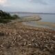 Εκατοντάδες νεκρά ψάρια στη λίμνη Κερκίνη 14