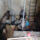 Μεγάλη επιχείρηση της ΔΕΥΑΚ και Δήμου Καλαμάτας στη δεξαμενή υδροδότησης στο Πήδημα 43