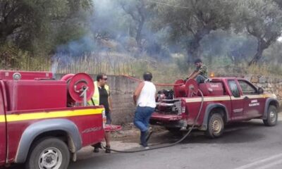 Καλαμάτα: Πρόσληψη 48 εργατών πυροπροστασίας και 8 χειριστών - οδηγών 17