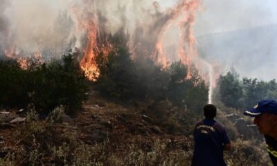 Αδιανόητη δήλωση από τον εμπρηστή της Μεσσηνίας ‑ «Με εξιτάρει η κινητικότητα της πυροσβεστικής» 12