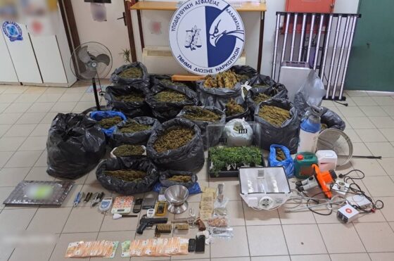 Πάνω από 90 κιλά κάνναβης και 38 φυτά κατασχέθηκαν από το Τμήμα Δίωξης Ναρκωτικών Καλαμάτας