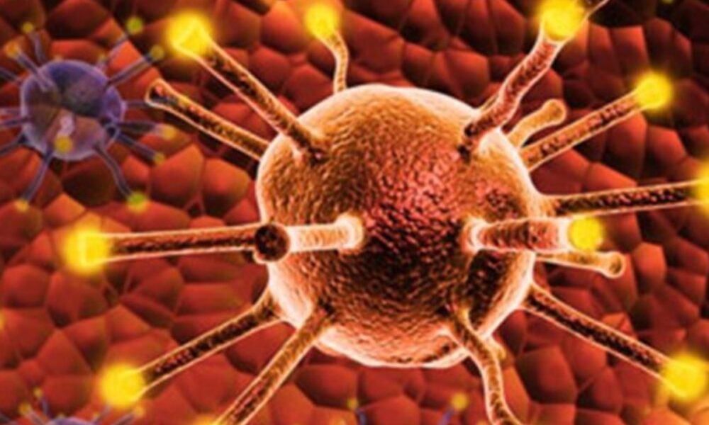 Επιστήμονες ανέπτυξαν χημειοθεραπεία ικανή να σκοτώσει όλους τους συμπαγείς καρκινικούς όγκους 6