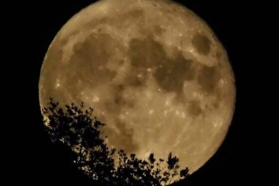 Πανσέληνος Αυγούστου 2023: Το «φεγγάρι του Οξύρρυγχου» θα δούμε απόψε