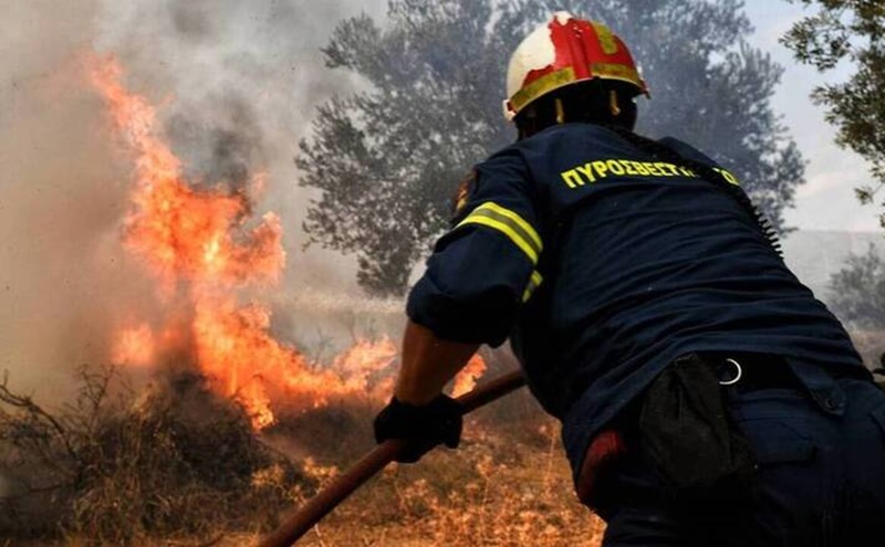 Δικαιούχοι και προϋποθέσεις επιχορήγησης από τη φωτά στην Ασπροπουλιά 9