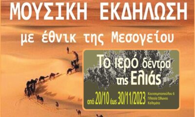 Μουσική εκδήλωση και Έκθεση στο Κέντρο Δημιουργικού Ντοκιμαντέρ Καλαμάτας 13