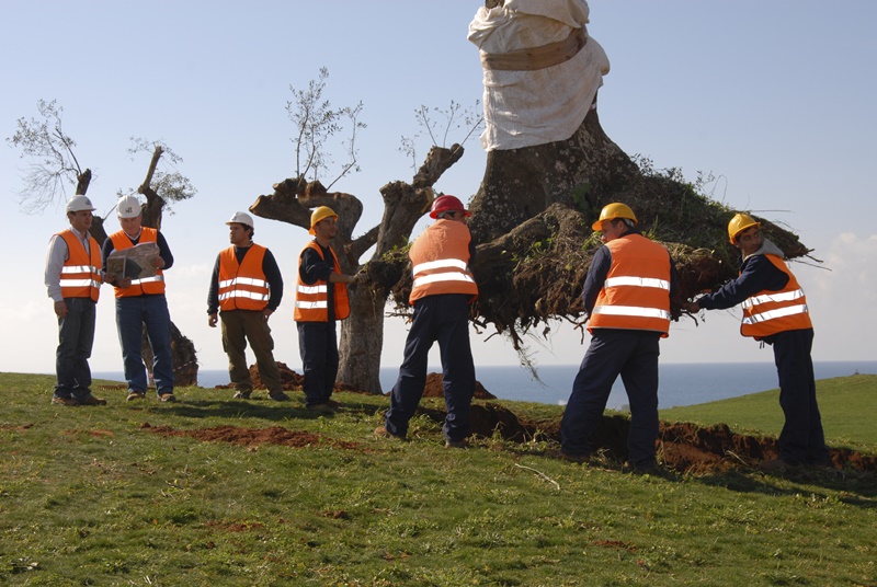 Μείωση των εκπομπών ρύπων κατά 80% για το 2022 στην Costa Navarino, στο πλαίσιο της στρατηγικής απανθρακοποίησης (decarbonization) για το σύνολο του προορισμού 8