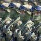 «Τύμπανα» Παγκόσμιου Πολέμου ‑ Στέλνει 20.000 στρατιώτες το ΝΑΤΟ στα σύνορα με τη Ρωσία 3