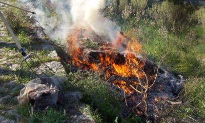 Απαγόρευση καύσης στην Περιφέρεια Πελοποννήσου από τις 15 Απριλίου 16