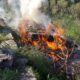 Απαγόρευση καύσης στην Περιφέρεια Πελοποννήσου από τις 15 Απριλίου 10