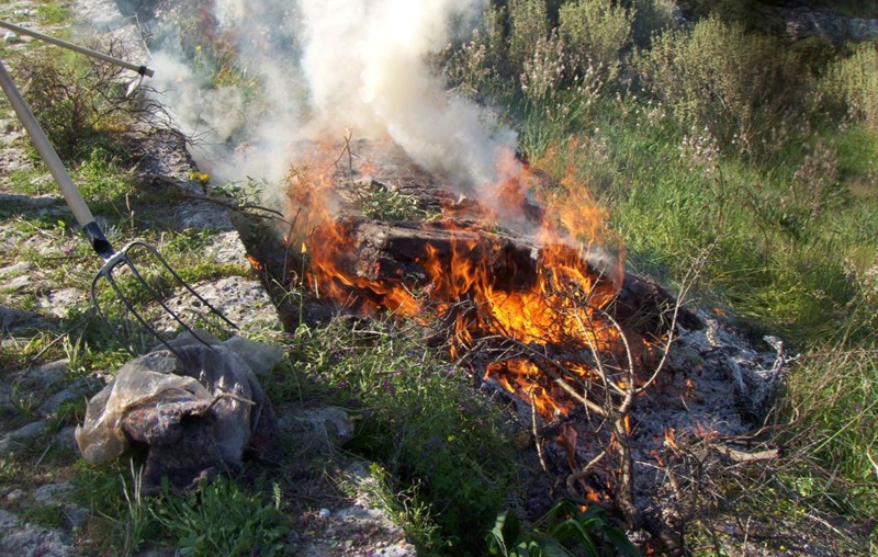 Απαγόρευση καύσης στην Περιφέρεια Πελοποννήσου από τις 15 Απριλίου 3