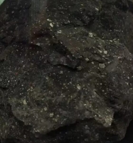 Εντοπίστηκε μετεωρίτης με εξωγήινη ζωή ‑ Το στοιχείο που σόκαρε τους επιστήμονες 2