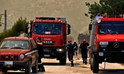 Μεσσηνία: Φυλάκιση και πρόστιμο σε άνδρα για πυρκαγιά 69