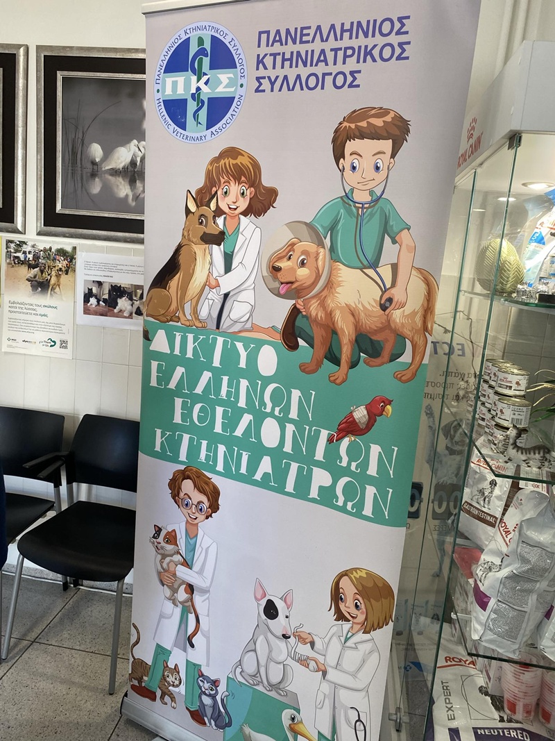 Εντατική φροντίδα για τα αδέσποτα στην Καλαμάτα – 56 στειρώσεις σε ένα Σαββατοκύριακο 4