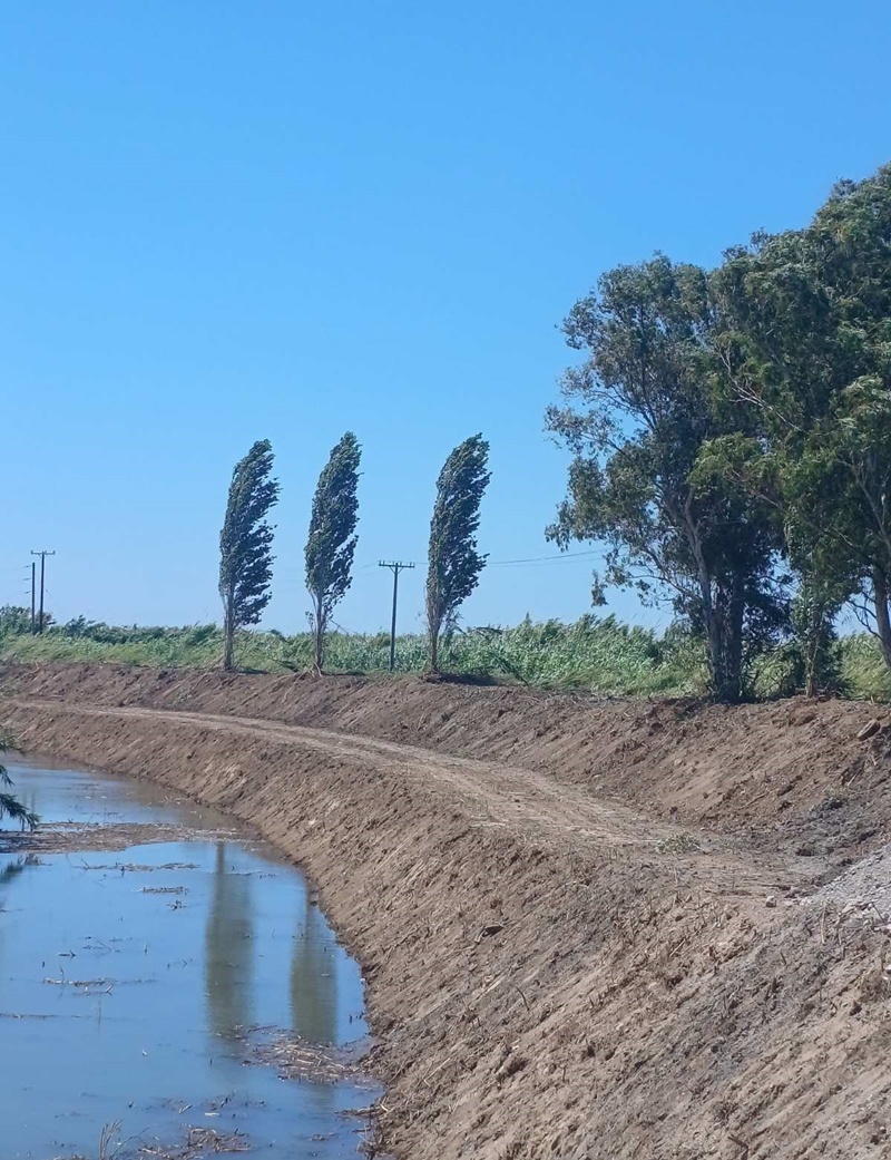 Aντιπλημμυρικές εργασίες, καθαρισμός βλάστησης εθνικού και επαρχιακού οδικού δικτύου, αντιπυρικές εργασίες 7