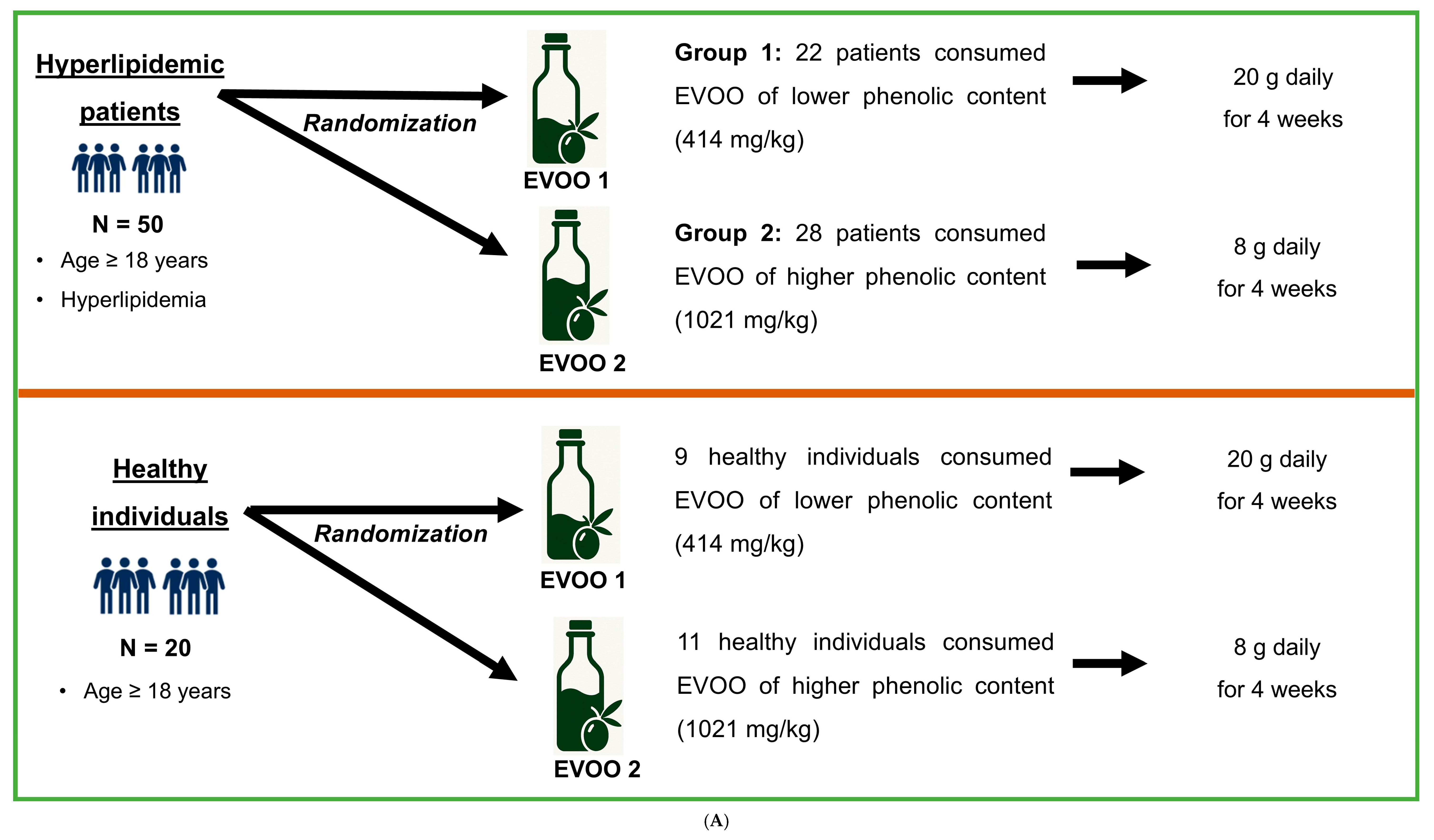 Ο άλλος δρόμος για το ελαιόλαδο και η μελέτη της Καρδιολογικής Κλινικής του Νοσοκομείου Καλαμάτας 4