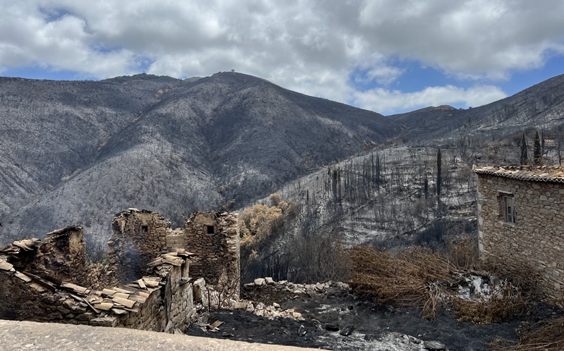 Αυτοψία Αναστασόπουλου στις πυρόπληκτες περιοχές του Δήμου Τριφυλίας 5