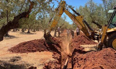 Ο Αντιπεριφερειάρχης Μεσσηνίας για εγγειοβελτιωτικά έργα, αντιπλημμυρικά και καθαρισμού βλάστησης 29