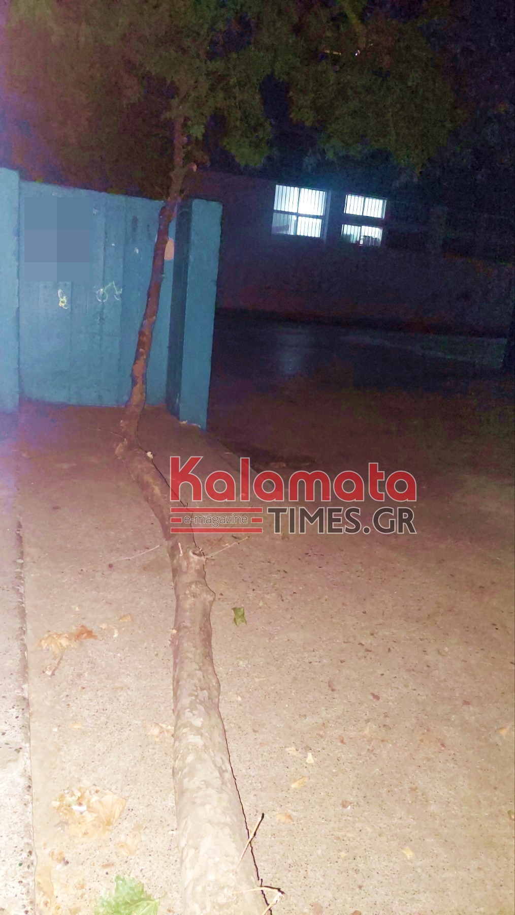 Σοκ στο 4ο Δημοτικό Καλαμάτας: Μαθητής τραυματίστηκε από πτώση μεγάλου κλαριού πλατάνου 10