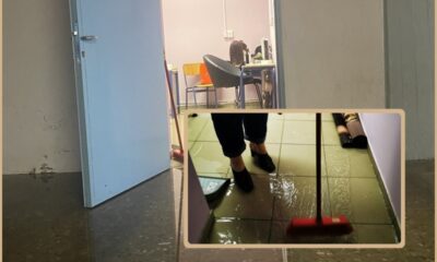 «Στο ίδιο έργο θεατές» – Αγανάκτηση από τον Σύλλογο Γονέων και Κηδεμόνων του ΕΝ.Ε.Ε.ΓΥ.Λ. Καλαμάτας 54