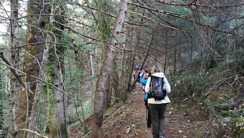 Σ.Π.Ο.Κ. ''Ο Ευκλής'': Περπατά στο 4ο τμήμα του Menalon Trail 4