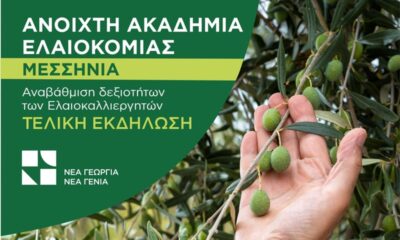 «Ανοιχτή Ακαδημία Ελαιοκομίας» στη Μεσσηνία για την αναβάθμιση των δεξιοτήτων των ελαιοκαλλιεργητών 8