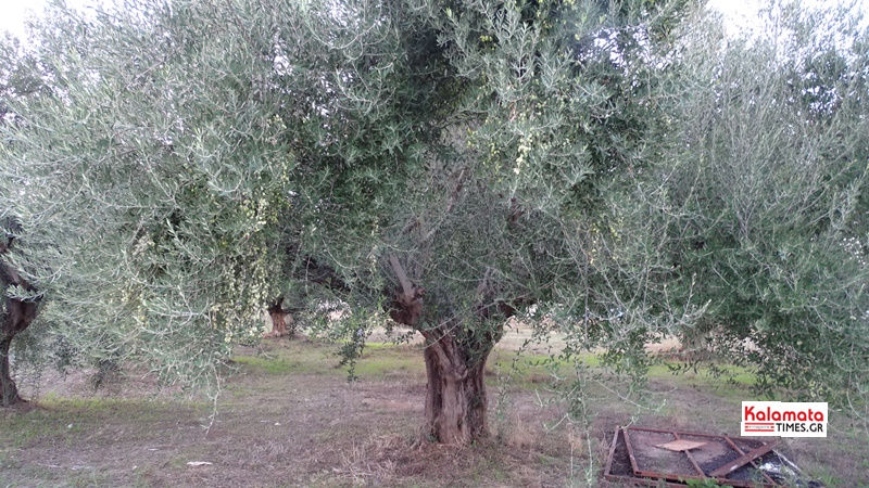 Η φτωχότερη χρονιά των τελευταίων ετών 1