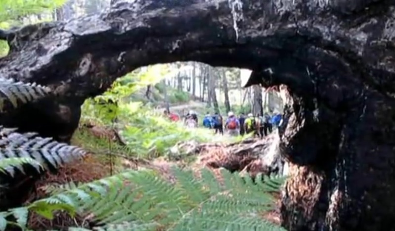 Ε.Ο.Σ. Καλαμάτας: Ανάβαση στο Τραγοβούνι Ταϋγέτου την Κυριακή 1