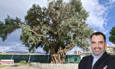 Παγκόσμια Ημέρα Ελιάς: Η Μεσσηνία ως γενέτειρα μνήμης, ταυτότητας και βιώσιμου μέλλοντος 4