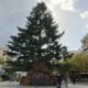 Χριστούγεννα στην Καλαμάτα 2025 – 2026: Το πλήρες πρόγραμμα εκδηλώσεων του Δήμου Καλαμάτας 32