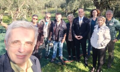 Εθελοντικό μάζεμα ελιάς στο Νοσοκομείο Καλαμάτας για την Παγκόσμια Ημέρα Ελιάς 16