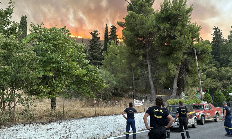 Ο.Α.Κ. Μεσσηνίας: Ανασκόπηση Αντιπυρικής Περιόδου 2025 9