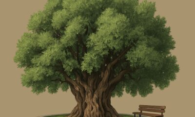 Παγκόσμια Ημέρα Ελιάς: Open Day γνωριμίας με τη «Μάνα Ελιά» και τον Επιδεικτικό Αγρό Μάνα Ελιά του ΕΛΓΟ - Δήμητρα 15