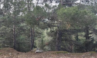 Σ.Π.Ο.Κ. ''Ο Ευκλής'': Εξορμεί στον βόρειο Υμηττό 22