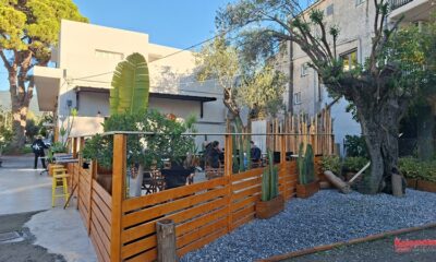 Cactoa: Εκεί όπου ο καφές συναντά τη φύση στο κέντρο της Καλαμάτας 2