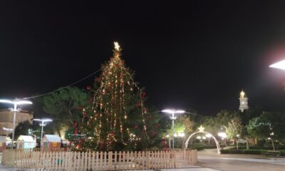 Χριστούγεννα στη Μεσσήνη 2025: Λαμπερές εκδηλώσεις, φωταγωγήσεις και γιορτινή μαγεία σε κάθε γωνιά του Δήμου 2