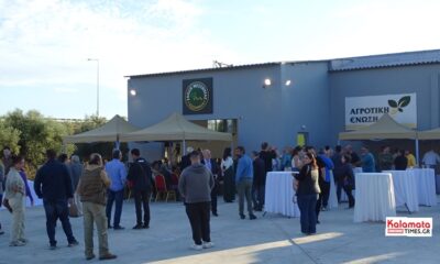 Αναγκαίες παρεμβάσεις και πρόταση ρύθμισης για την εφαρμογή του συστήματος ΨΔΑ στην ελαιοκομική αλυσίδα 8