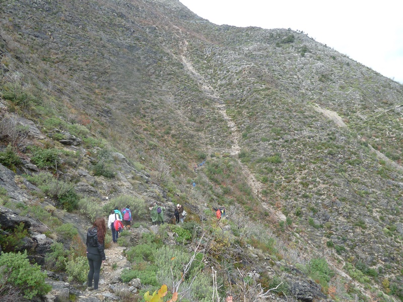 Σ.Π.Ο.Κ. ''Ο Ευκλής'' καλωσορίζει το νέο έτος με ανάβαση στο Λυκούρειο όρος 11 Σ.Π.Ο.Κ. ''Ο Ευκλής'' καλωσορίζει το νέο έτος με ανάβαση στο Λυκούρειο όρος 6