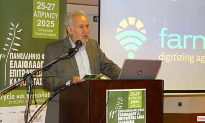 Η θεσμική ευθύνη του Δημοτικού Συμβουλίου και τα όρια της πολιτικής τιμητικής αναγνώρισης 76