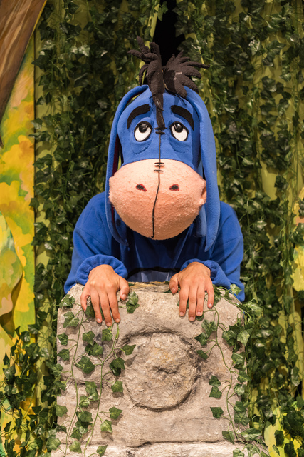 Ο Γουίνι και η παρέα του ζωντανεύουν στην Καλαμάτα με μια παράσταση γεμάτη φαντασία και μηνύματα ζωής 12