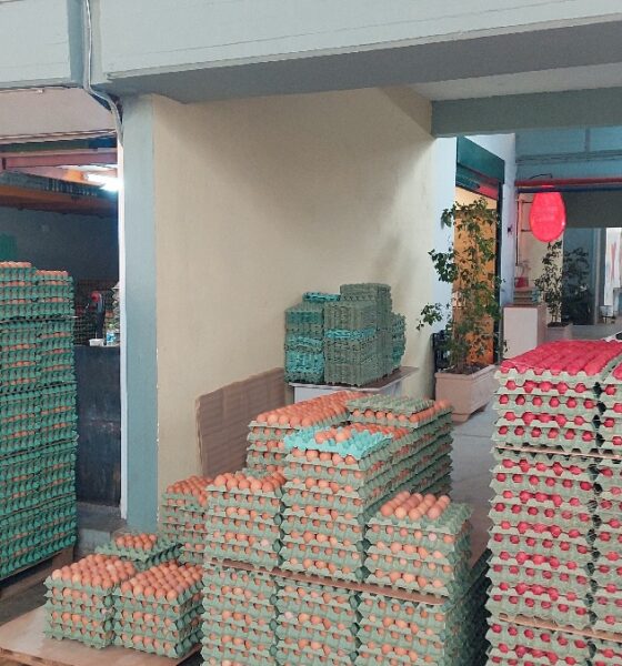 Τι κερδίζεις αν τρως κάθε μέρα βραστά αυγά 2