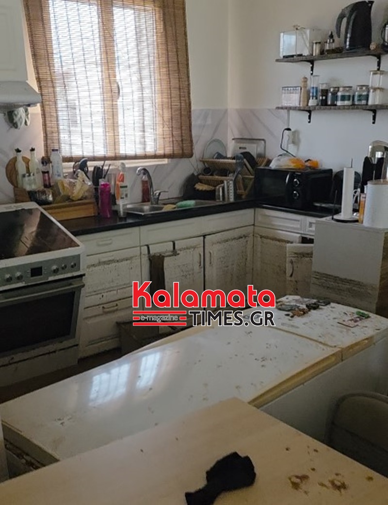 Πλημμύρες σάρωσαν τη Μεσσηνία – Βίντεο καταγράφει τη μανία του νερού στην Κυπαρισσία 12