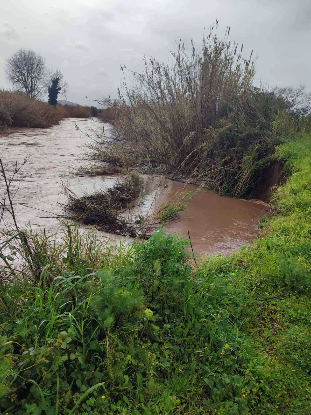 Ζημιές στην ΠΕ Μεσσηνίας, από έντονα καιρικά φαινόμενα 11