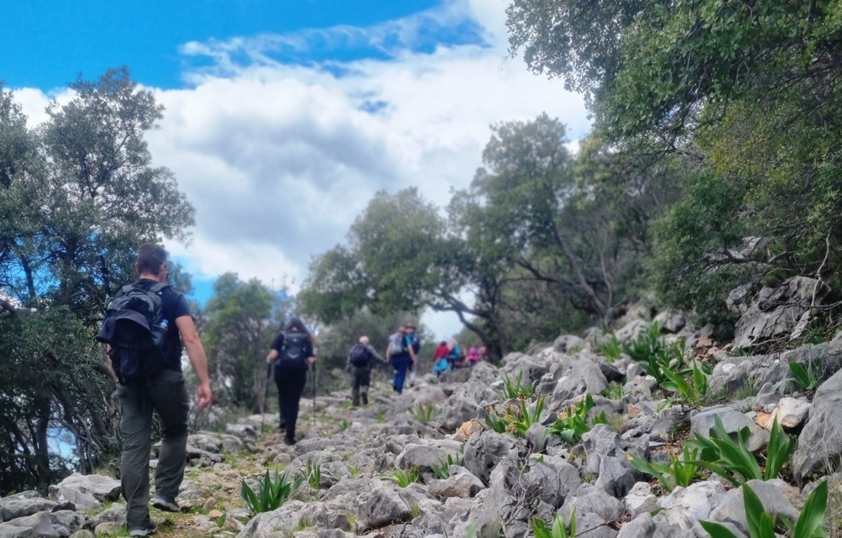 Στις πλαγιές του Ταϋγέτου περπάτησαν οι φυσιολάτρες του Σ.Π.Ο.Κ. ''Ο Ευκλής'' 6