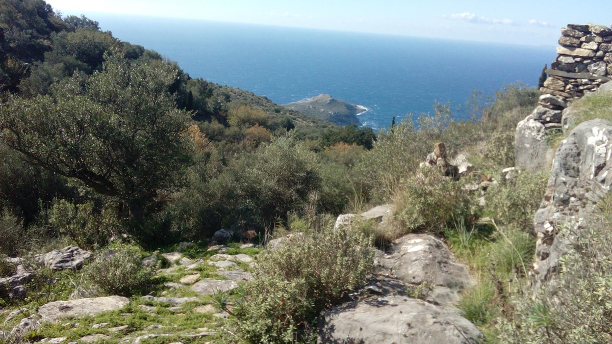 Σ.Π.Ο.Κ. ''Ο Ευκλής'': Εξόρμηση στην Μεσσηνιακή Μάνη 3